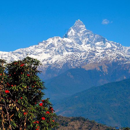 Himalayan Deurali Resort Похара Екстериор снимка