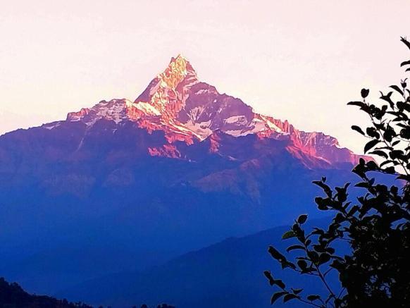 Himalayan Deurali Resort Похара Екстериор снимка