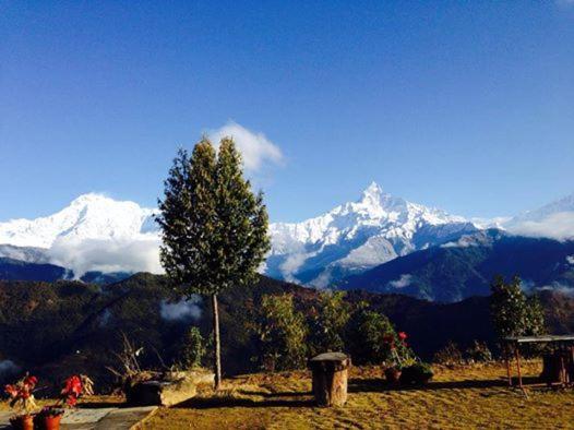 Himalayan Deurali Resort Похара Екстериор снимка